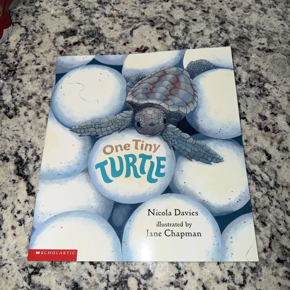 One Tiny Turtle Paperback By Nicola Davies New Scholastic Book